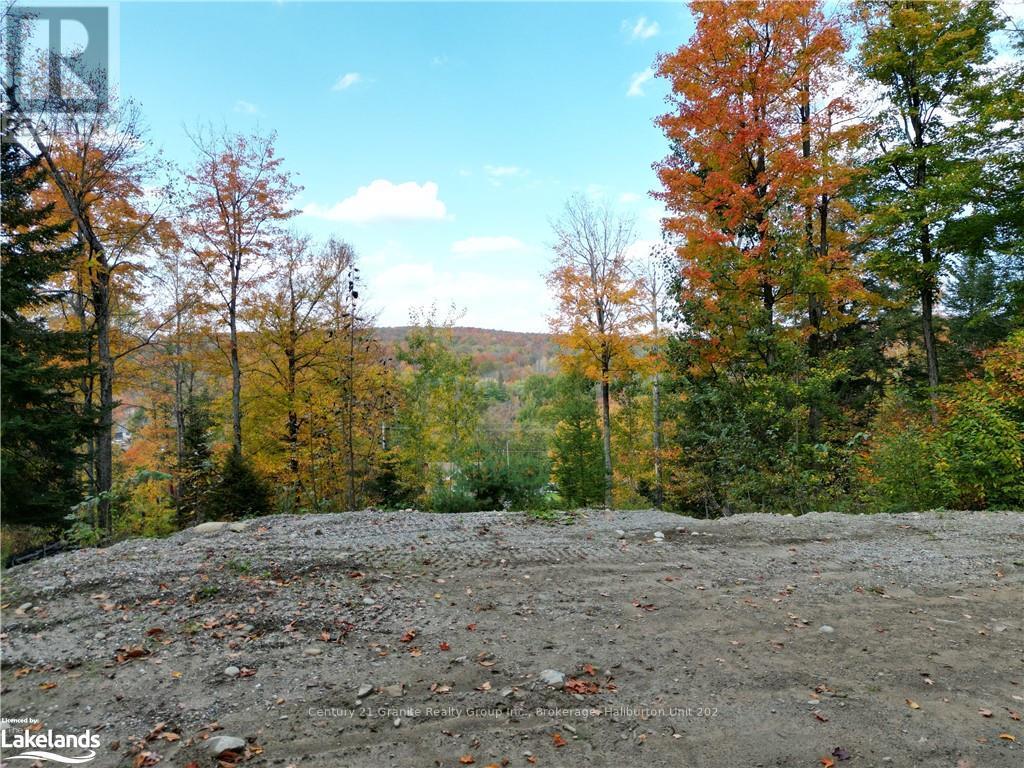 1019 Bushwolf Lake Road, Dysart Et Al, Ontario  K0M 1S0 - Photo 32 - X10434332