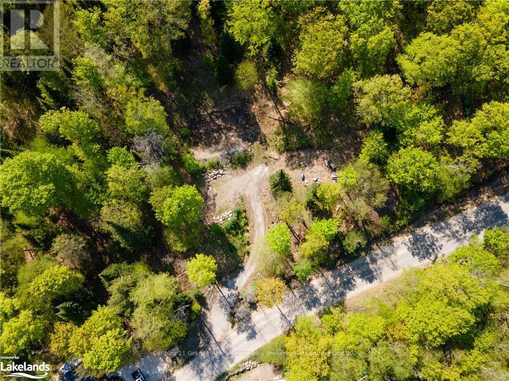 1019 Bushwolf Lake Road, Dysart Et Al, Ontario  K0M 1S0 - Photo 5 - X10434332