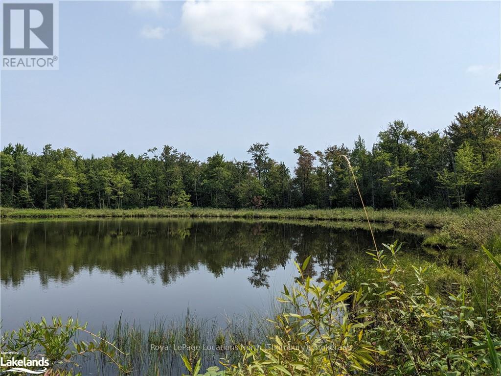 304399 South Line, West Grey, Ontario  N0C 1K0 - Photo 34 - X10434856