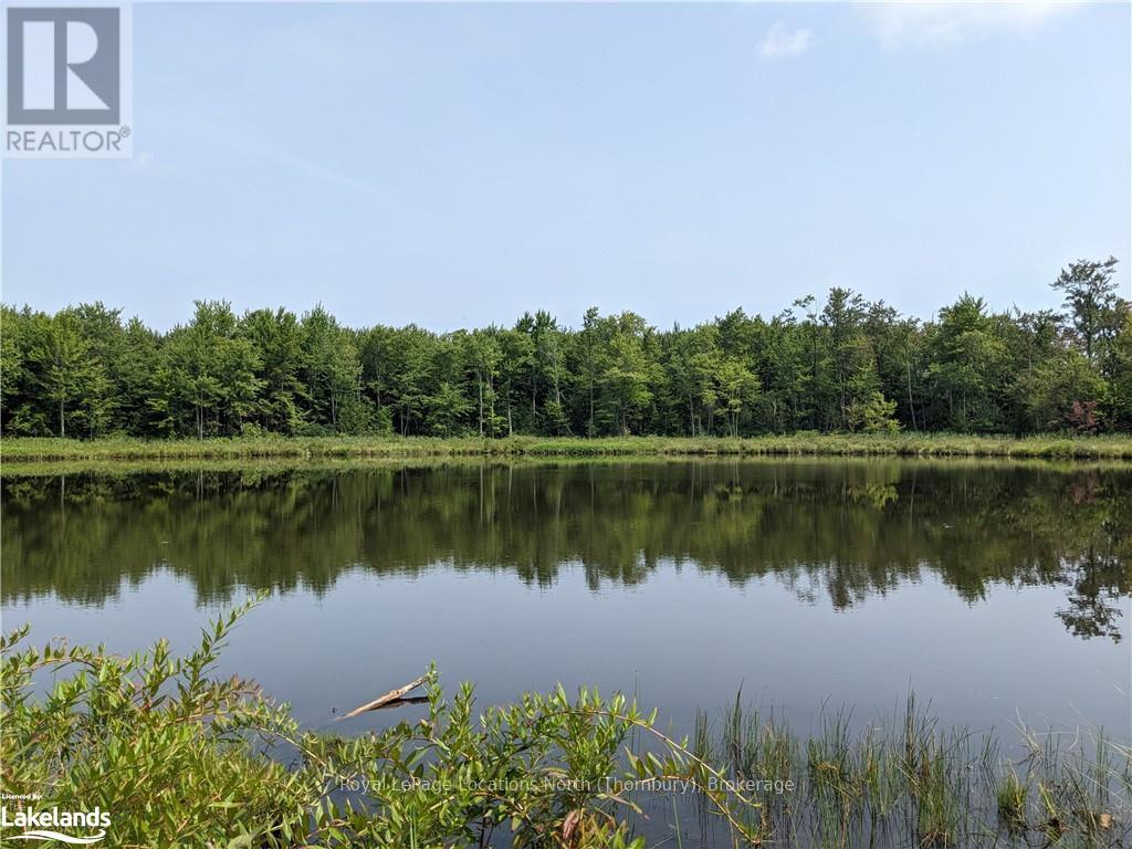 304399 South Line, West Grey, Ontario  N0C 1K0 - Photo 35 - X10434856