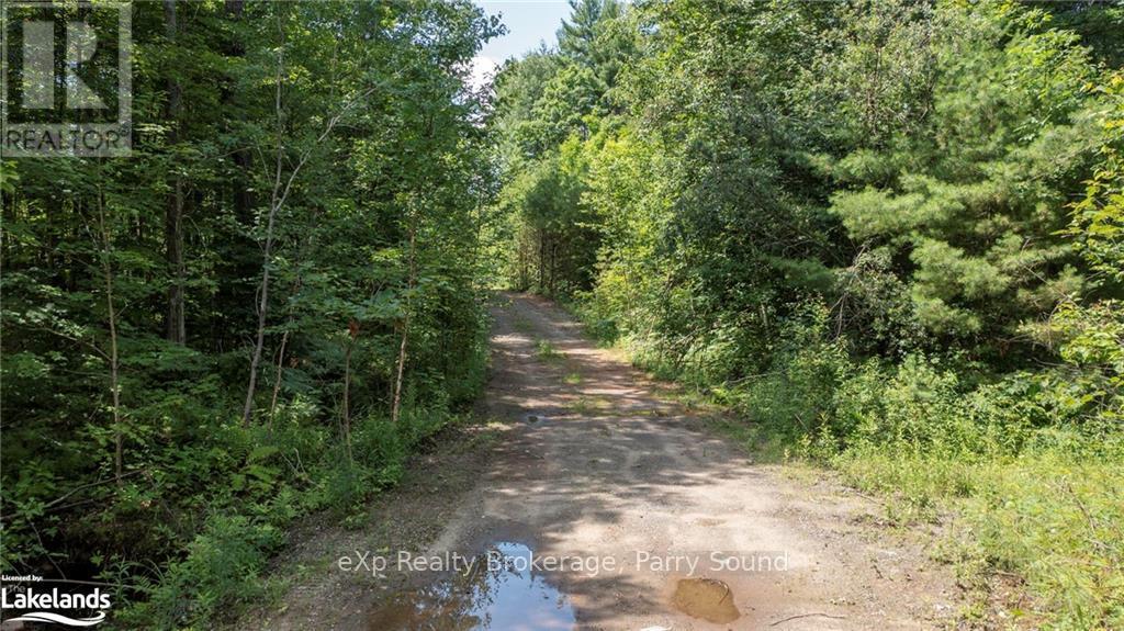 0 Oastler Park Drive, Seguin, Ontario  P2A 0B2 - Photo 14 - X10435060