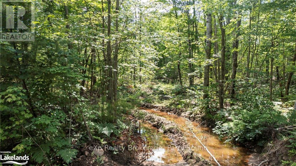 0 Oastler Park Drive, Seguin, Ontario  P2A 0B2 - Photo 15 - X10435060