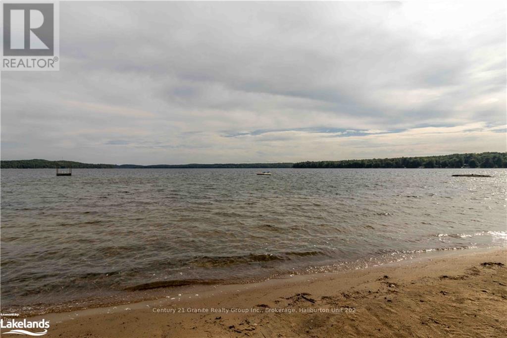 16455 Highway 35, Algonquin Highlands, Ontario  K0M 1S0 - Photo 2 - X10435313