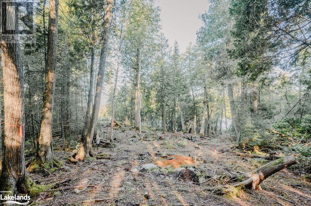 7298 Hwy 11 N, Temagami (Tctdar Outside), Ontario  P0H 2H0 - Photo 10 - X10435335