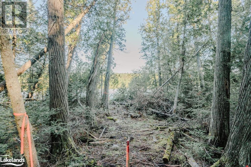 7298 Hwy 11 N, Temagami (Tctdar Outside), Ontario  P0H 2H0 - Photo 12 - X10435335