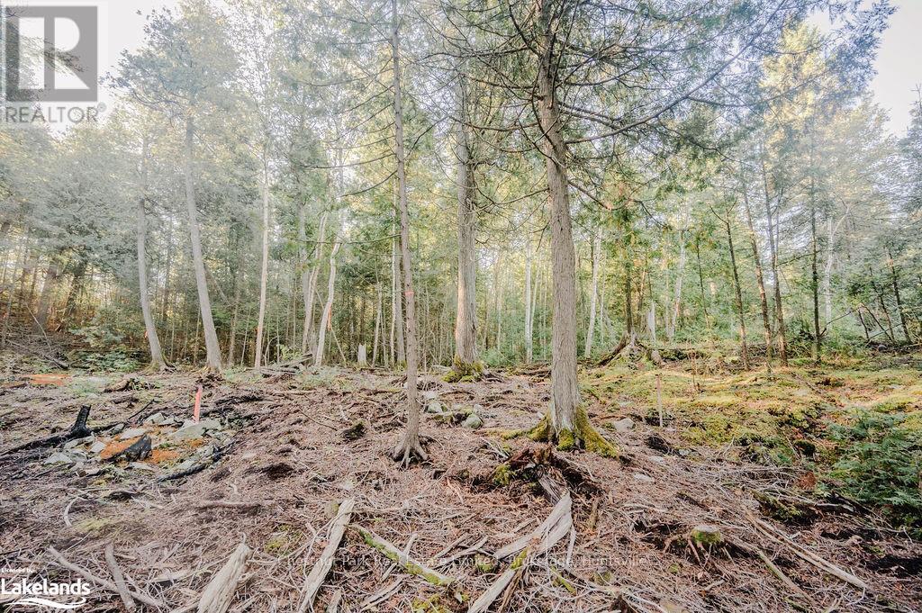 7298 Hwy 11 N, Temagami (Tctdar Outside), Ontario  P0H 2H0 - Photo 14 - X10435335
