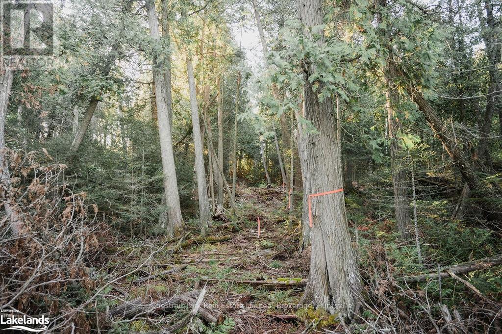 7298 Hwy 11 N, Temagami (Tctdar Outside), Ontario  P0H 2H0 - Photo 15 - X10435335