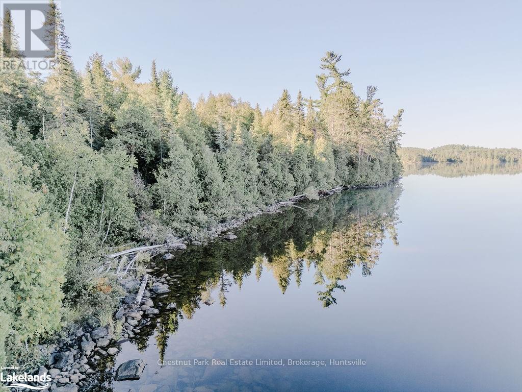 7298 Hwy 11 N, Temagami (Tctdar Outside), Ontario  P0H 2H0 - Photo 17 - X10435335