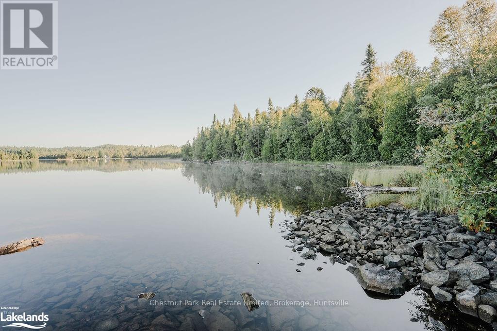 7298 Hwy 11 N, Temagami (Tctdar Outside), Ontario  P0H 2H0 - Photo 18 - X10435335
