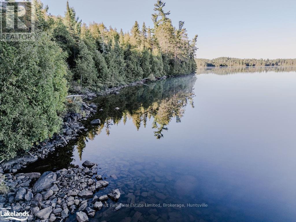 7298 Hwy 11 N, Temagami (Tctdar Outside), Ontario  P0H 2H0 - Photo 19 - X10435335