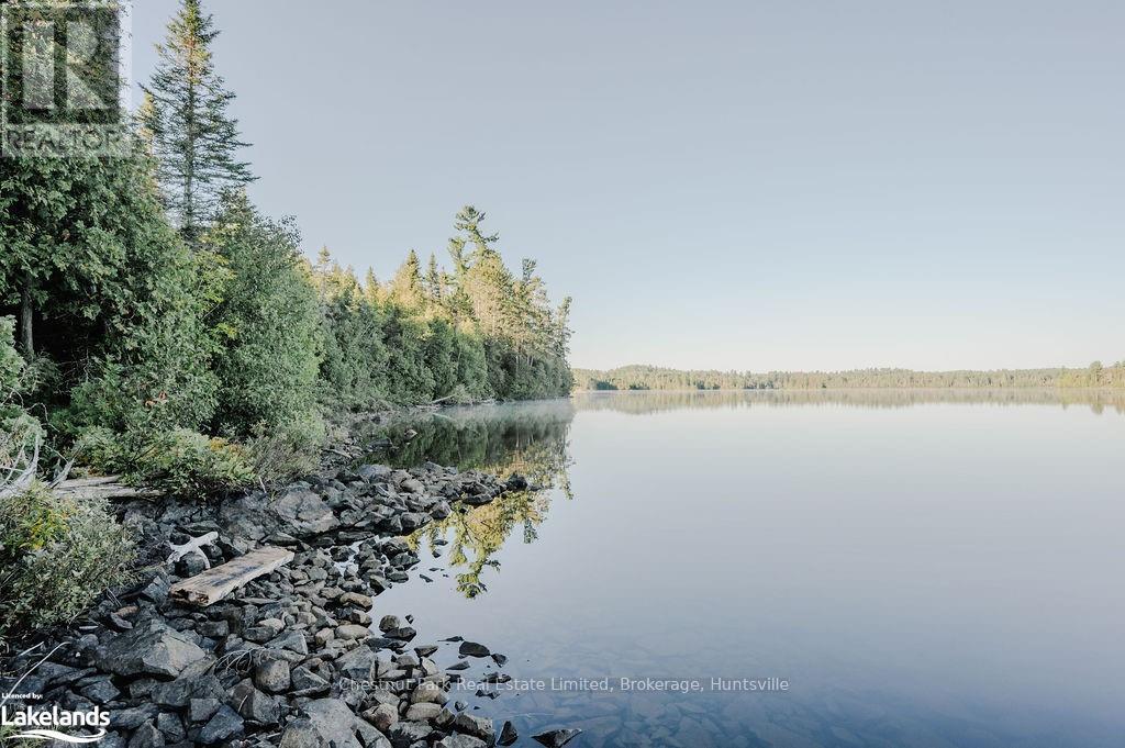 7298 Hwy 11 N, Temagami (Tctdar Outside), Ontario  P0H 2H0 - Photo 2 - X10435335