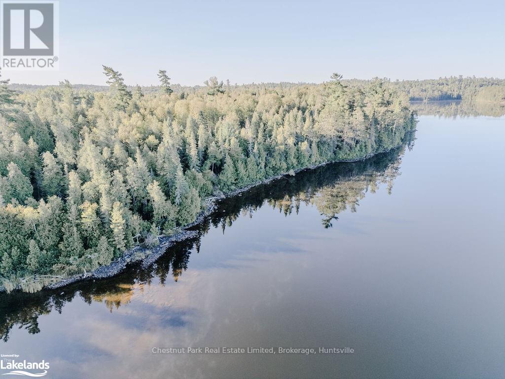 7298 Hwy 11 N, Temagami (Tctdar Outside), Ontario  P0H 2H0 - Photo 20 - X10435335