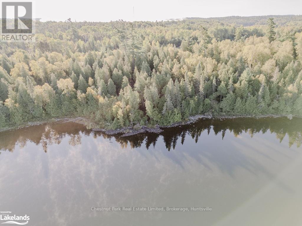 7298 Hwy 11 N, Temagami (Tctdar Outside), Ontario  P0H 2H0 - Photo 25 - X10435335