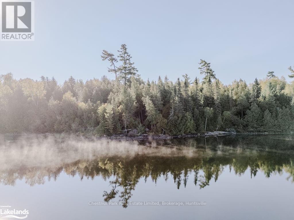 7298 Hwy 11 N, Temagami (Tctdar Outside), Ontario  P0H 2H0 - Photo 3 - X10435335