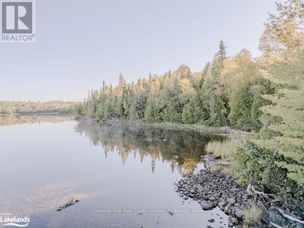 7298 Hwy 11 N, Temagami (Tctdar Outside), Ontario  P0H 2H0 - Photo 4 - X10435335