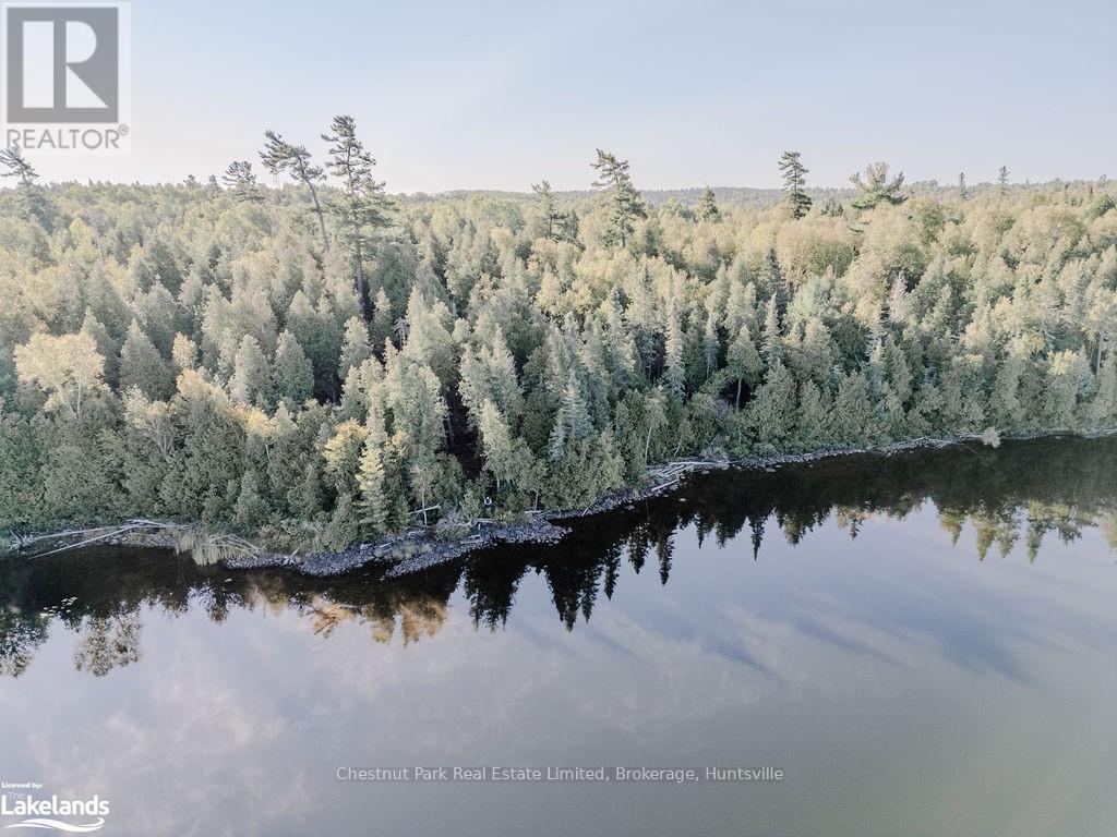 7298 Hwy 11 N, Temagami (Tctdar Outside), Ontario  P0H 2H0 - Photo 5 - X10435335