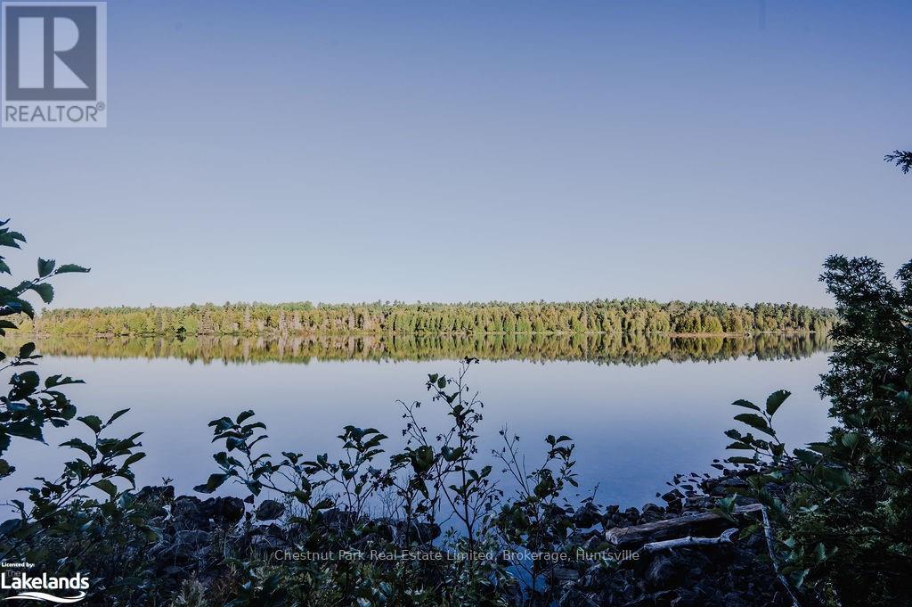 7298 Hwy 11 N, Temagami (Tctdar Outside), Ontario  P0H 2H0 - Photo 6 - X10435335