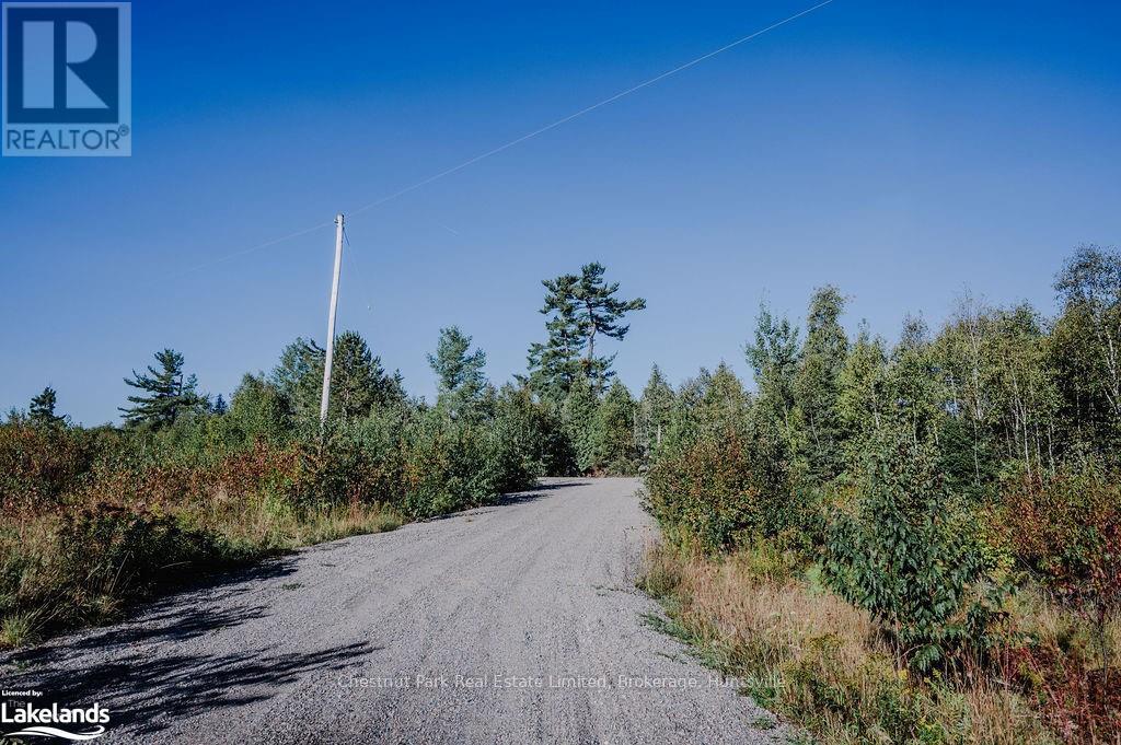 7298 Hwy 11 N, Temagami (Tctdar Outside), Ontario  P0H 2H0 - Photo 7 - X10435335