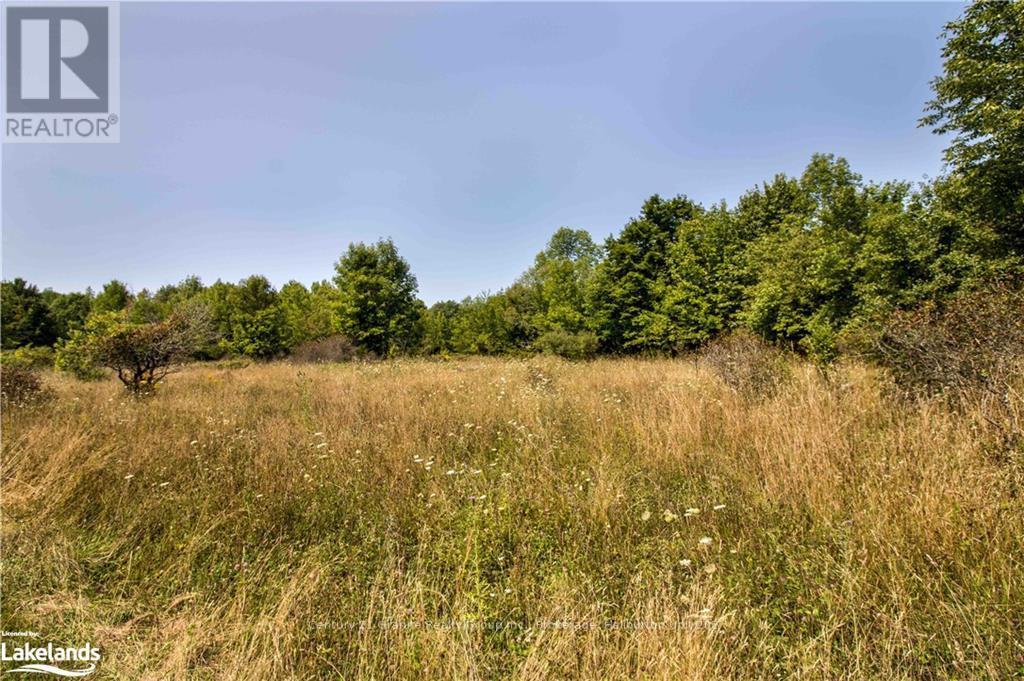 0 Sugar Bush Road, Kawartha Lakes, Ontario  K0M 2L0 - Photo 10 - X10435501