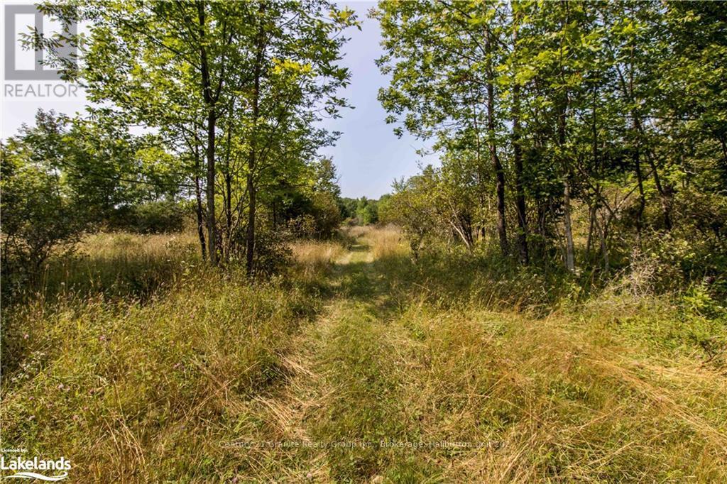 0 Sugar Bush Road, Kawartha Lakes, Ontario  K0M 2L0 - Photo 13 - X10435501