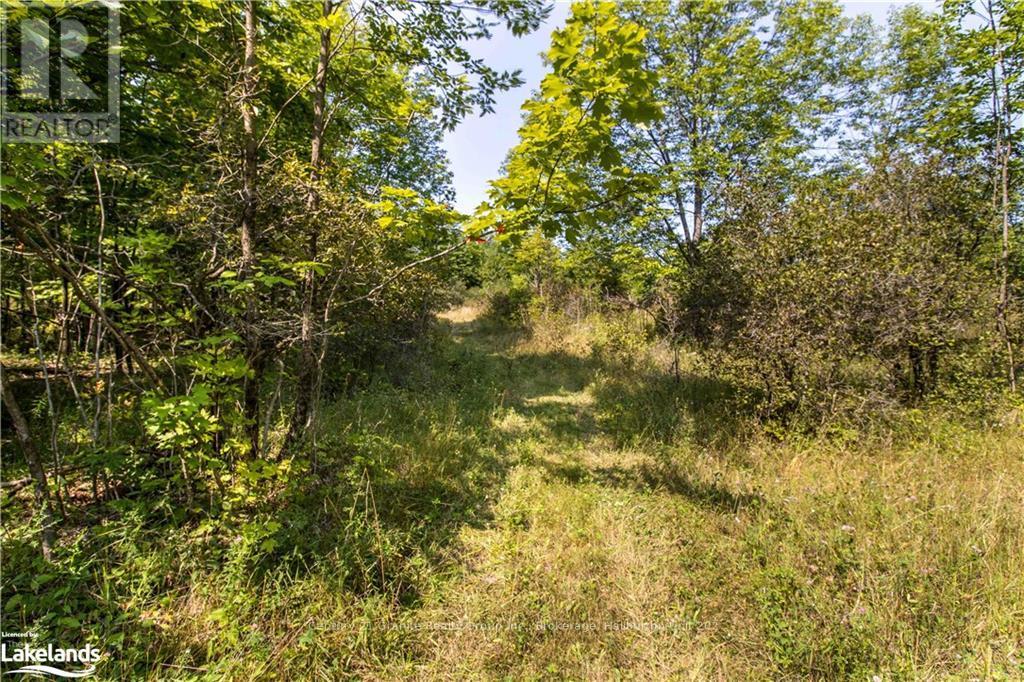 0 Sugar Bush Road, Kawartha Lakes, Ontario  K0M 2L0 - Photo 14 - X10435501