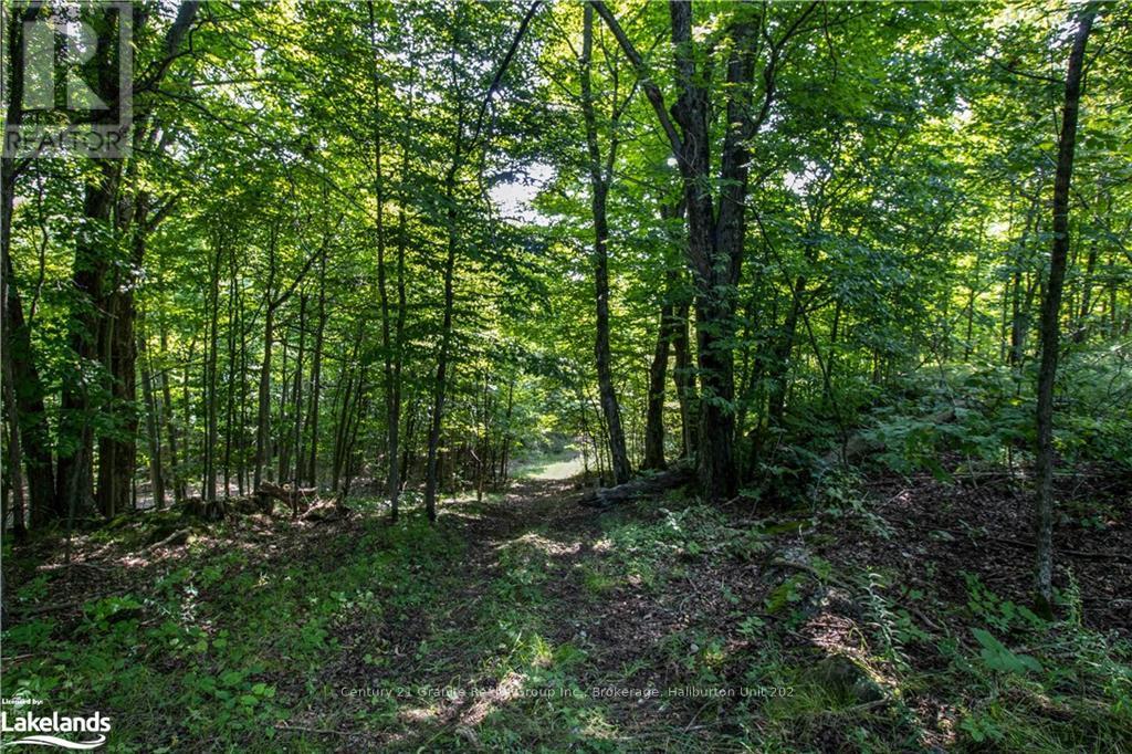 0 Sugar Bush Road, Kawartha Lakes, Ontario  K0M 2L0 - Photo 15 - X10435501