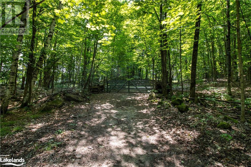 0 Sugar Bush Road, Kawartha Lakes, Ontario  K0M 2L0 - Photo 16 - X10435501