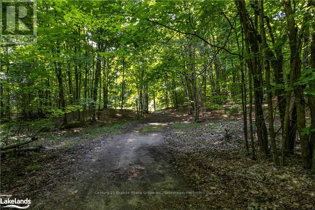 0 Sugar Bush Road, Kawartha Lakes, Ontario  K0M 2L0 - Photo 17 - X10435501