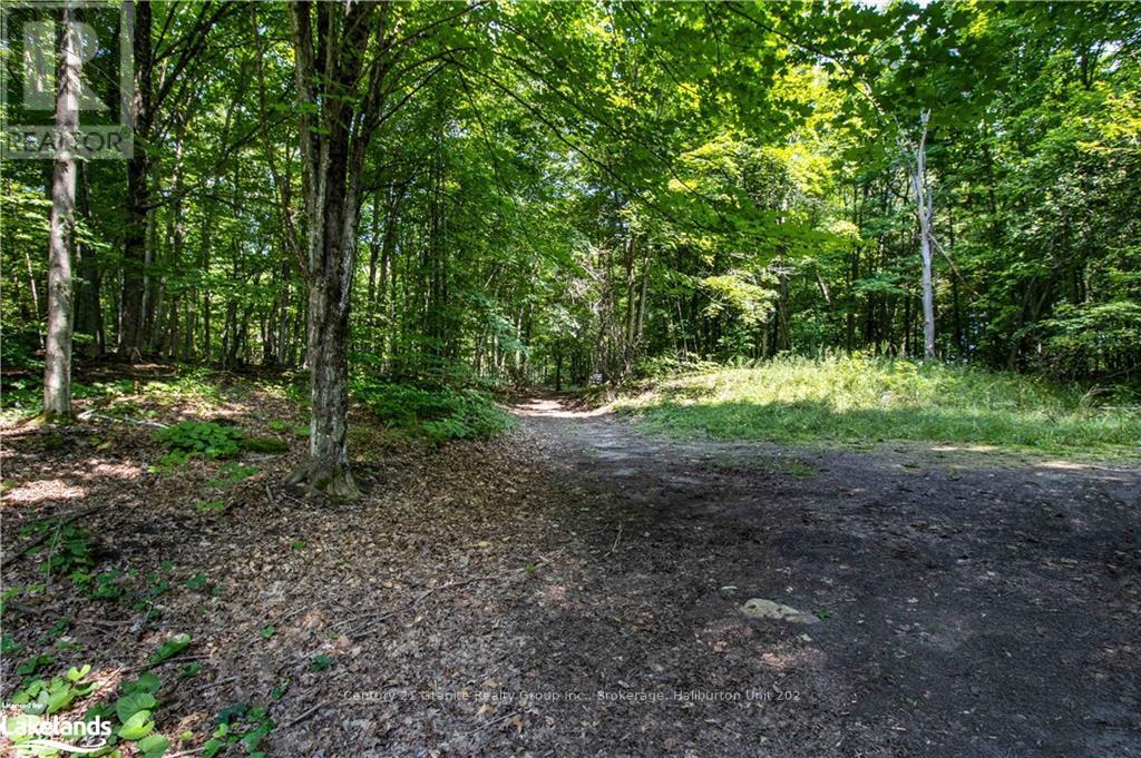 0 Sugar Bush Road, Kawartha Lakes, Ontario  K0M 2L0 - Photo 18 - X10435501