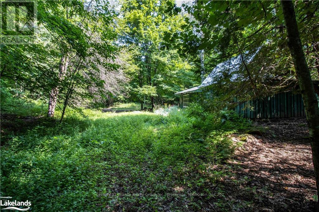 0 Sugar Bush Road, Kawartha Lakes, Ontario  K0M 2L0 - Photo 23 - X10435501