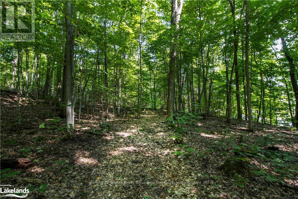 0 Sugar Bush Road, Kawartha Lakes, Ontario  K0M 2L0 - Photo 25 - X10435501