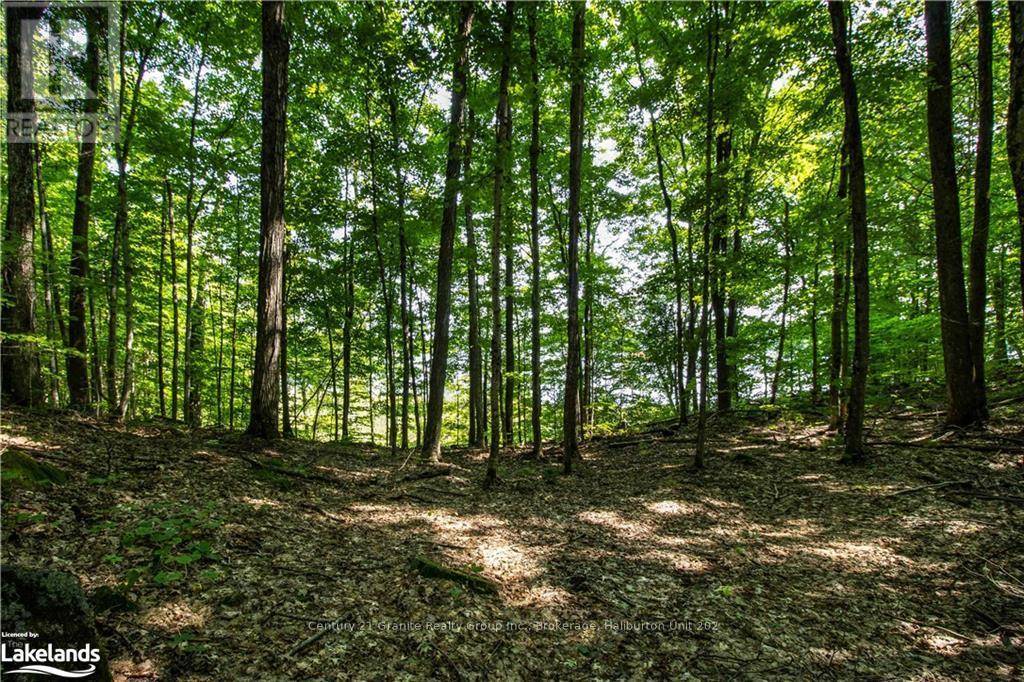 0 Sugar Bush Road, Kawartha Lakes, Ontario  K0M 2L0 - Photo 26 - X10435501
