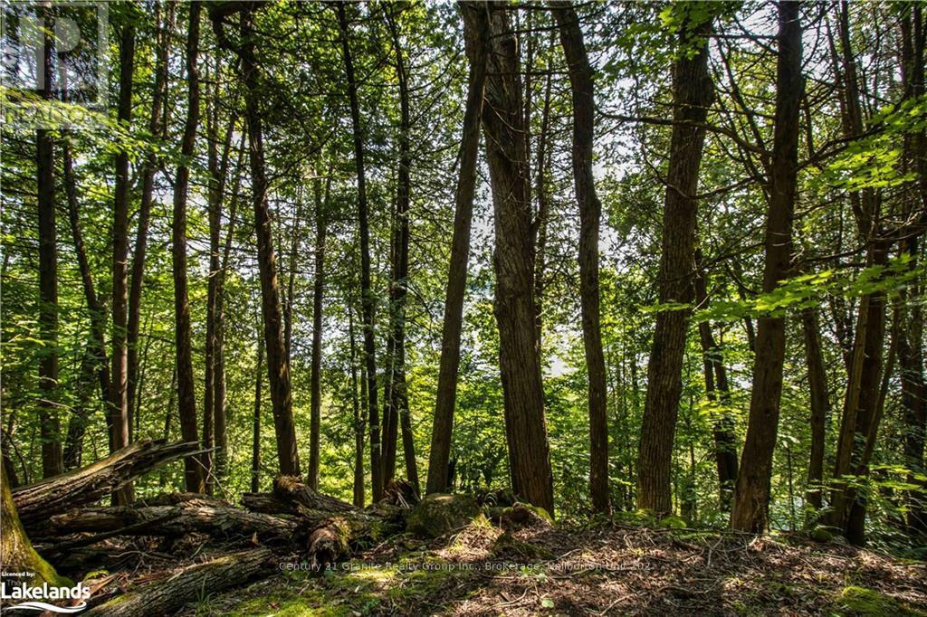 0 Sugar Bush Road, Kawartha Lakes, Ontario  K0M 2L0 - Photo 27 - X10435501