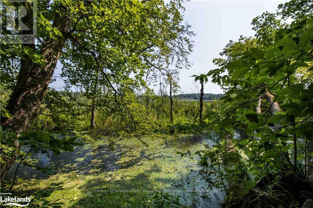 0 Sugar Bush Road, Kawartha Lakes, Ontario  K0M 2L0 - Photo 29 - X10435501