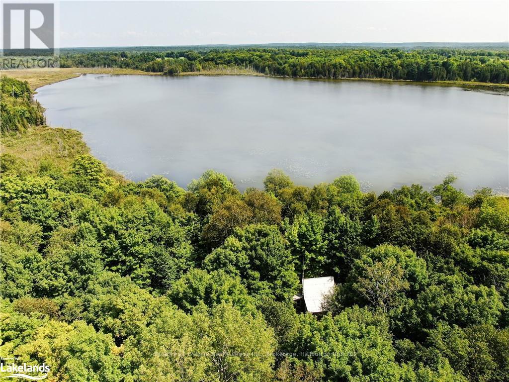 0 Sugar Bush Road, Kawartha Lakes, Ontario  K0M 2L0 - Photo 3 - X10435501