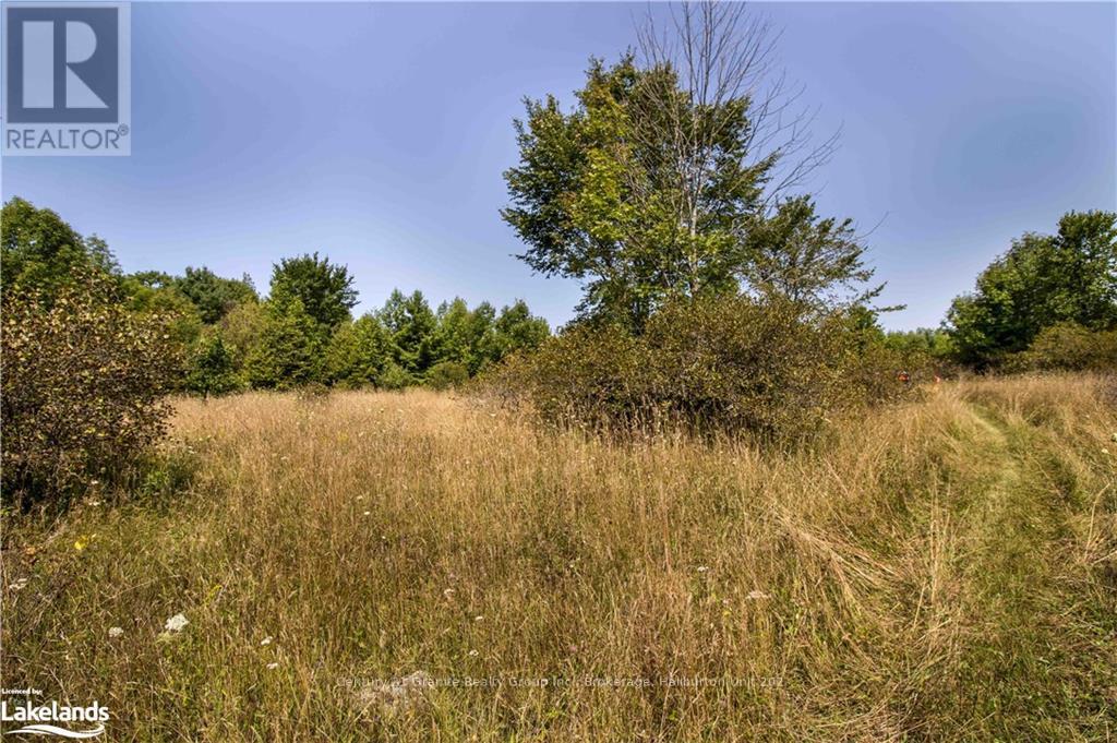 0 Sugar Bush Road, Kawartha Lakes, Ontario  K0M 2L0 - Photo 7 - X10435501