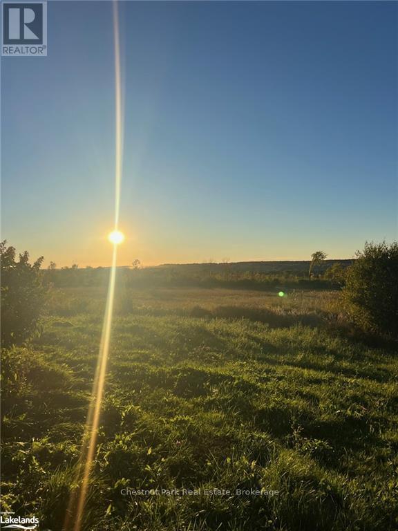 599460 2nd N, Meaford, Ontario  N0H 1B0 - Photo 16 - X10435553