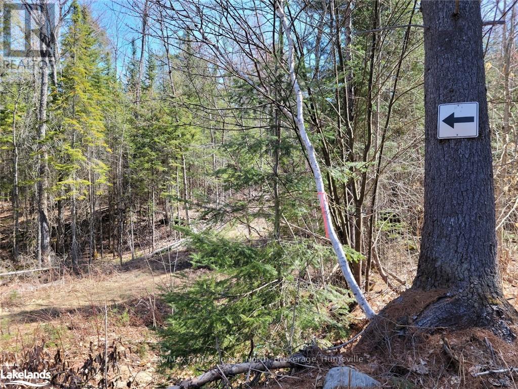 Lot 32 North Portage Road, Huntsville, Ontario  P1H 2J6 - Photo 1 - X10435567