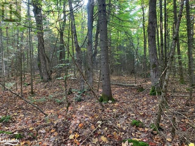 0 Sugar Bush Road E, Magnetawan, Ontario  P0A 1P0 - Photo 28 - X10435650