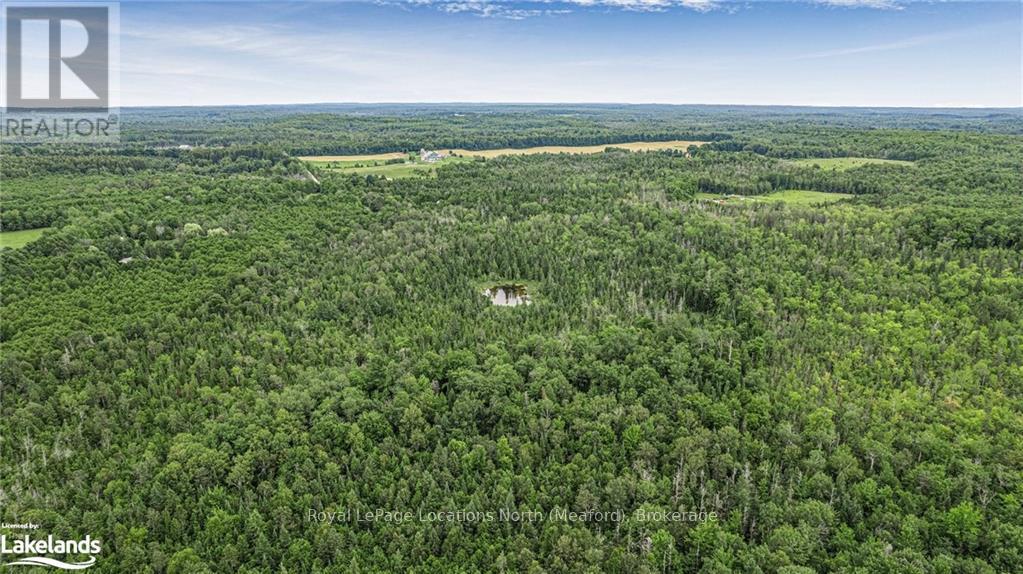 797176 East Back Line, Chatsworth, Ontario  N0H 1G0 - Photo 30 - X10435891