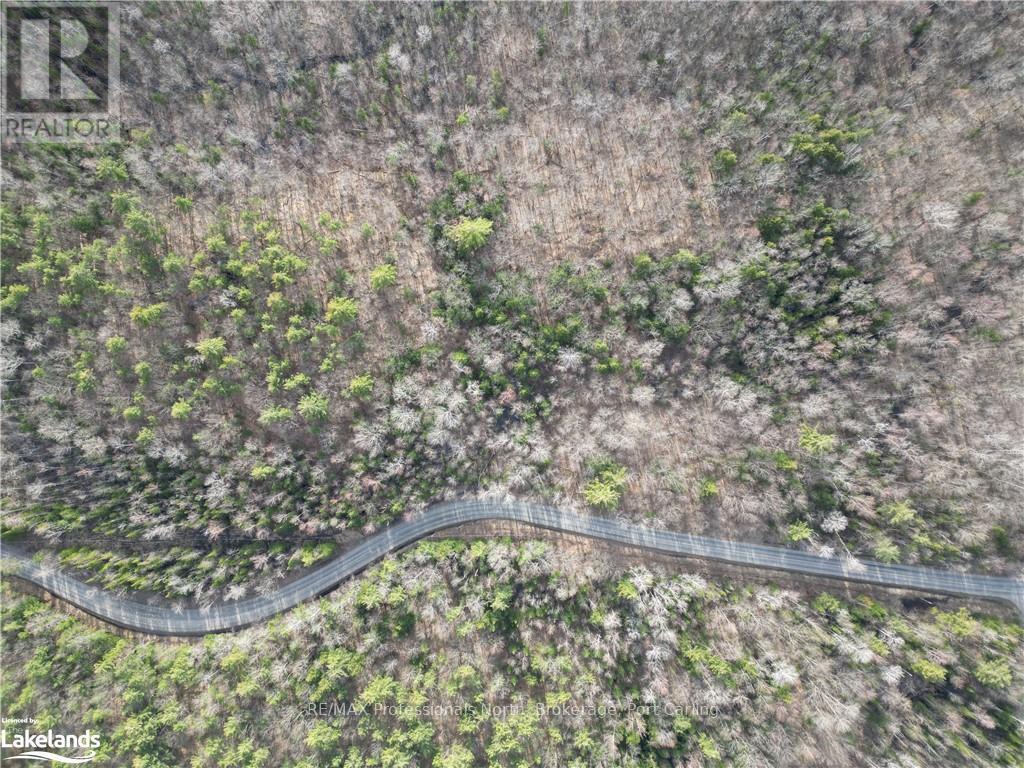 2731 Southwood Road, Gravenhurst (Wood (Gravenhurst)), Ontario  P0E 1G0 - Photo 10 - X10436229