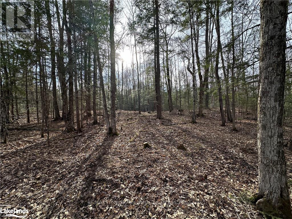 2731 Southwood Road, Gravenhurst (Wood (Gravenhurst)), Ontario  P0E 1G0 - Photo 17 - X10436229