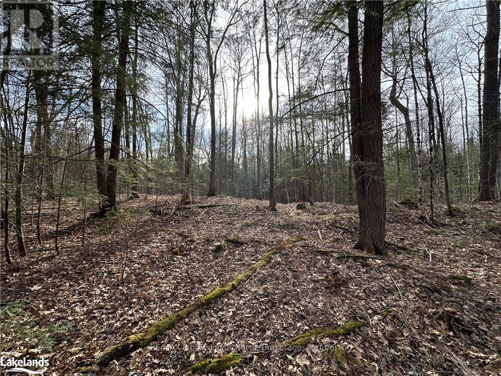 2731 Southwood Road, Gravenhurst (Wood (Gravenhurst)), Ontario  P0E 1G0 - Photo 18 - X10436229