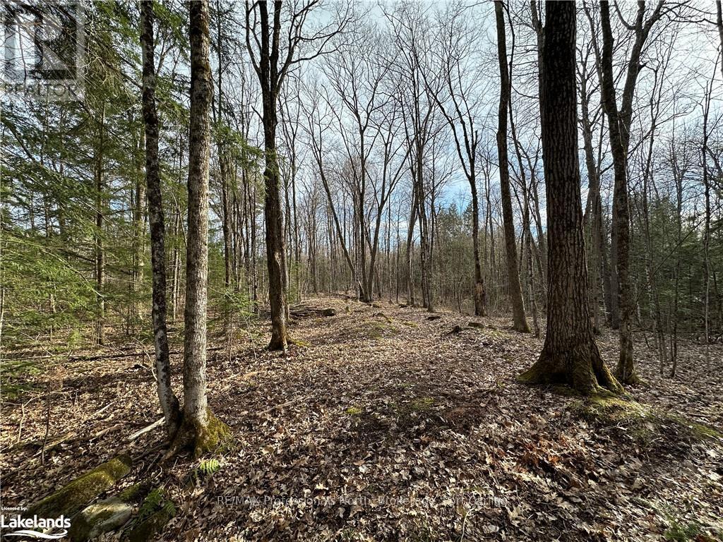 2731 Southwood Road, Gravenhurst (Wood (Gravenhurst)), Ontario  P0E 1G0 - Photo 19 - X10436229