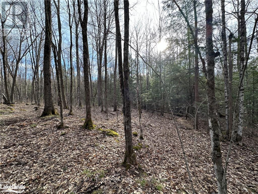 2731 Southwood Road, Gravenhurst (Wood (Gravenhurst)), Ontario  P0E 1G0 - Photo 20 - X10436229