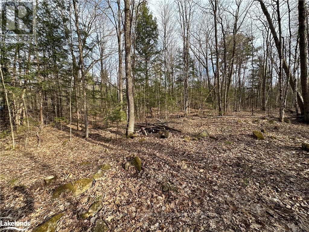 2731 Southwood Road, Gravenhurst (Wood (Gravenhurst)), Ontario  P0E 1G0 - Photo 21 - X10436229