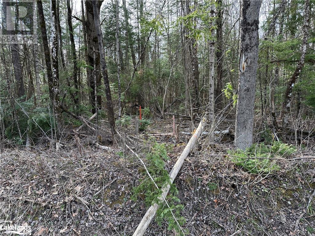 2731 Southwood Road, Gravenhurst (Wood (Gravenhurst)), Ontario  P0E 1G0 - Photo 23 - X10436229