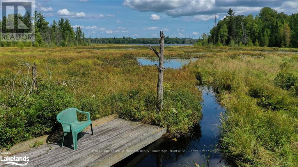 214 North Lancelot Road, Huntsville (Stephenson), Ontario  P0B 1M0 - Photo 37 - X10436377