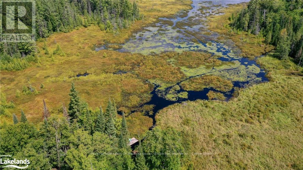 214 North Lancelot Road, Huntsville (Stephenson), Ontario  P0B 1M0 - Photo 38 - X10436377