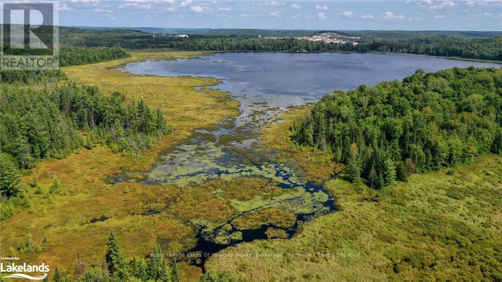 214 North Lancelot Road, Huntsville (Stephenson), Ontario  P0B 1M0 - Photo 39 - X10436377